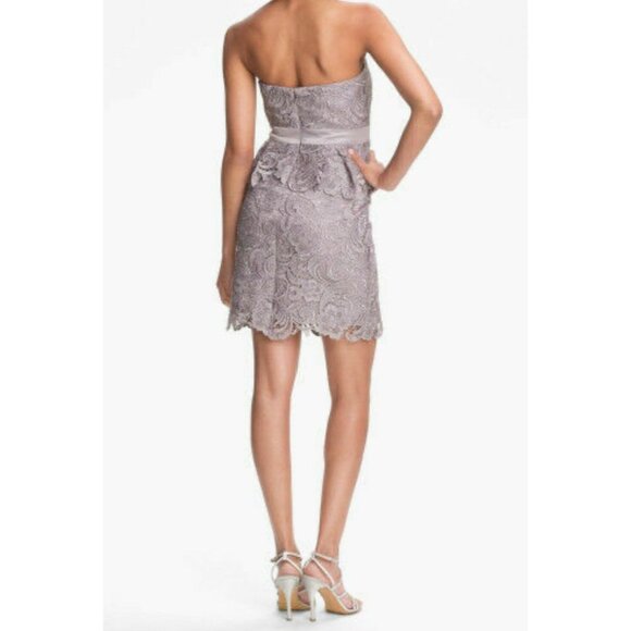 Adrianna Papell Dress 10 Pewter Light Lilac/Gray W Bra Wedding Party Cruise - Picture 2 of 10